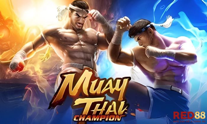 Tổng quan về Muay Thai Champion Red88