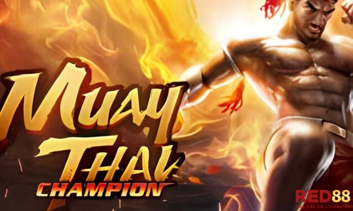 Ưu điểm của Muay Thai Champion Red88