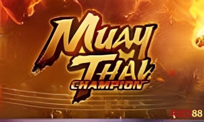 Tính năng đặc biệt trong Muay Thai Champion Red88